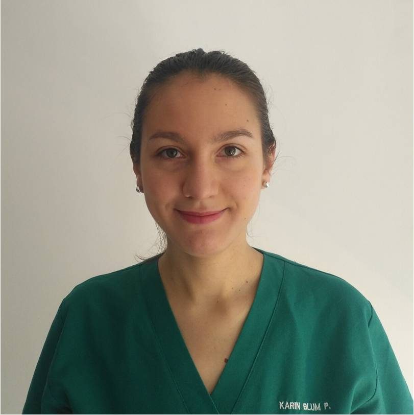 Perfil Karin Blum